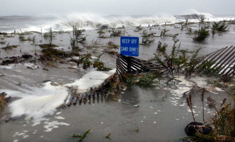 World Wetlands Day: How wetlands minimise damage from disasters