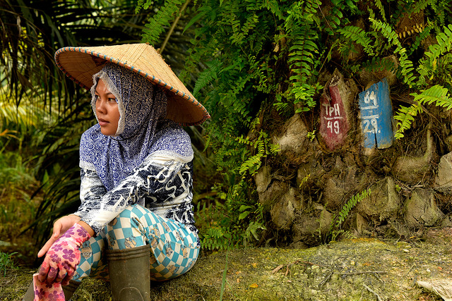oil-palm-worker
