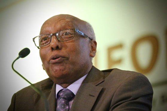 Prof-Berhanu-Abegaz