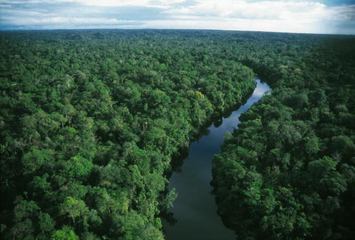 amazon_rainforest