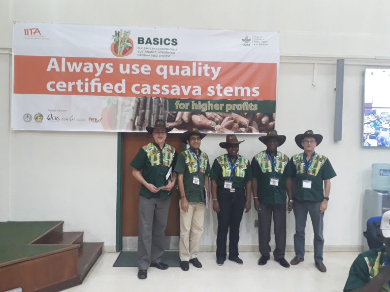 Economically sustainable seed businesses to transform cassava production