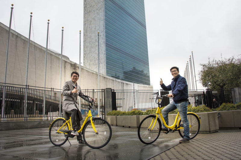 UNDP-ofo