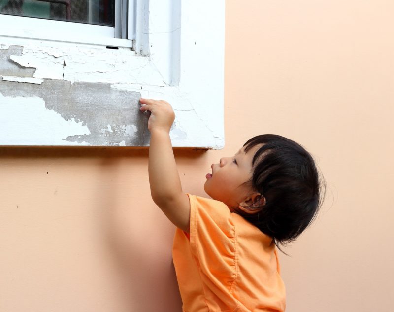 leadpaint
