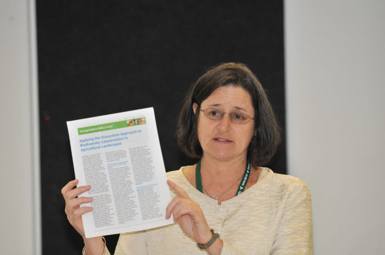 Unlocking investment in sustainable landscapes critical for inclusive green growth – Report