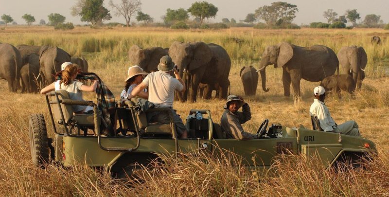 african-safari