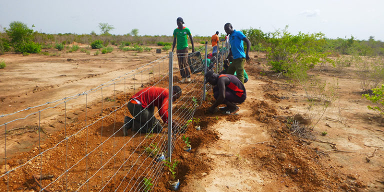 World Day to Combat Desertification: Conserving healthy soils for resilient drylands
