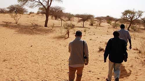 Desertification-Nigeria