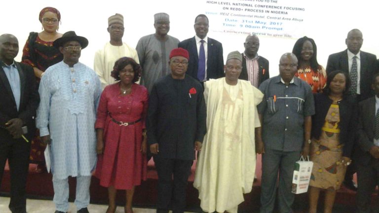 Incorporate REDD+ into national development process, UNDP advises government