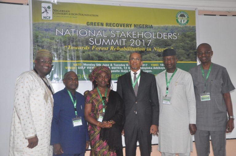 NCF launches ‘Green Recovery Nigeria’ to restore dwindling forest landcape