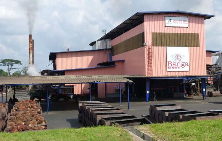 Edo urged to uphold revocation order on Okomu Oil Palm