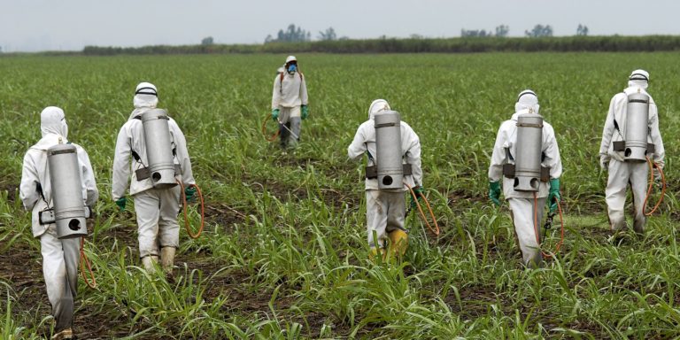 Monsanto weed-killer Roundup causes cancer, says California