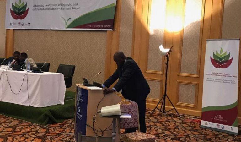 Bonn Challenge: Chad commits to restore 5m hectares of degraded land