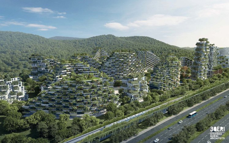 Forest City1
