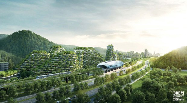 Forest City2