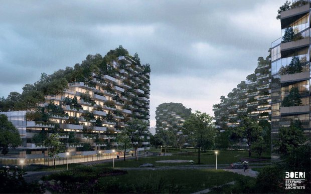 Forest City3