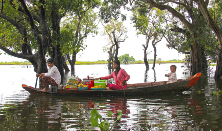 World Mangrove Day: Gender equity key to mangrove restoration