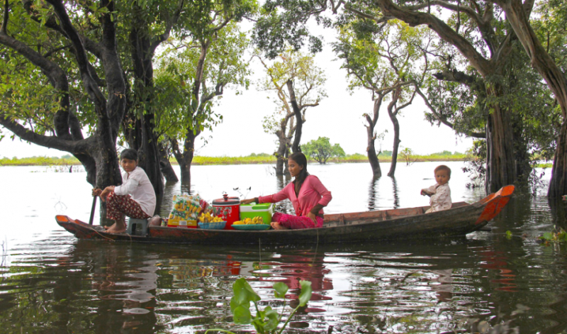 Mangroves gender