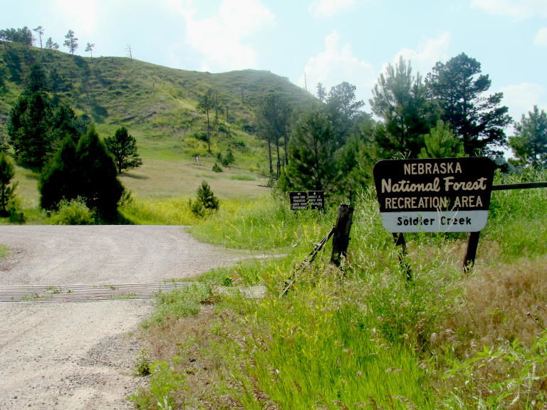 Wilderness areas are fast declining – Report