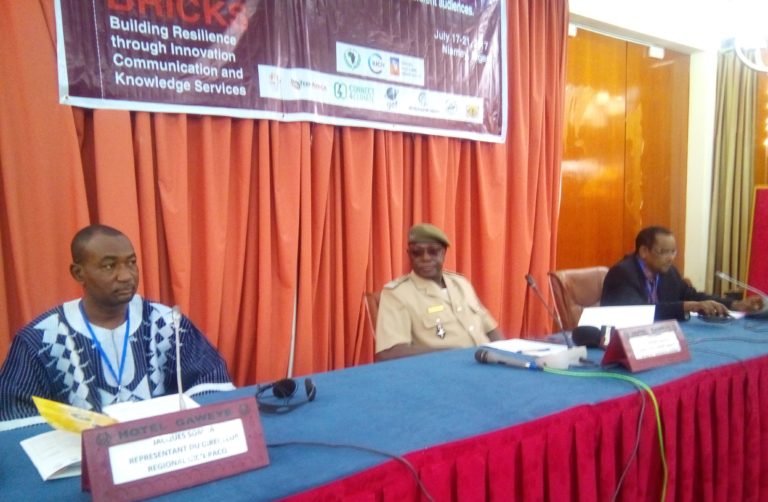 Communication described as vital in implementation of Great Green Wall Initiative