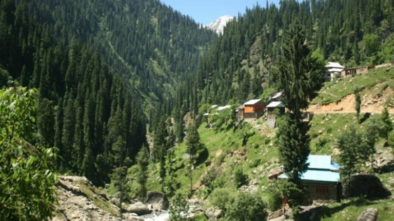 Pakistan plants one billion trees in two years