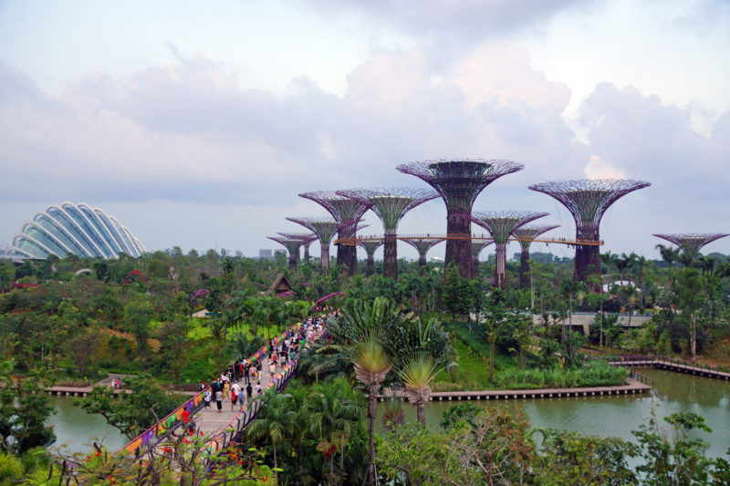 Singapore Garden by the Bay