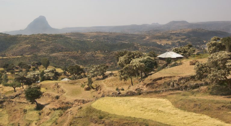 Tigray region: Ethiopia tops world’s best land restoration policies