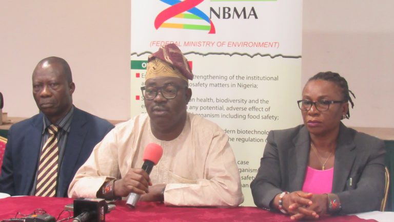 NBMA alerts Nigerians on imported GM maize