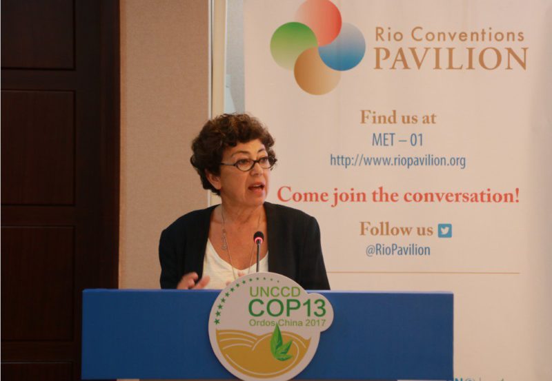 UNCCD COP13