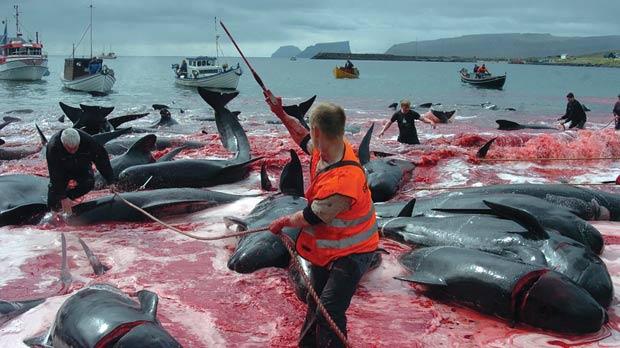 Whaling