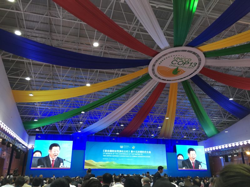 unccd cop13