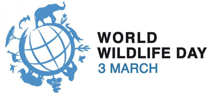 World Wildlife Day logo