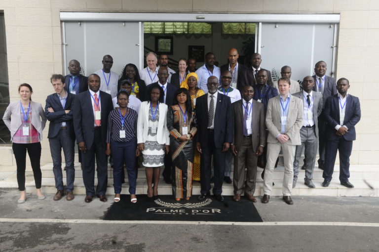 Three working groups to emerge at Mami Wata meeting in Freetown