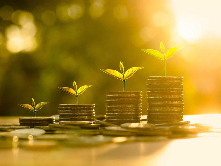 How we’re curbing emissions, energy consumption, by Zenith Bank