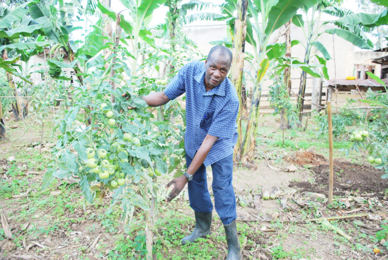 Uganda Parliament passes biosafety bill, farmers rejoice