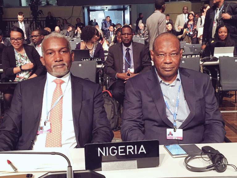 COP23: What is at stake for Africa?