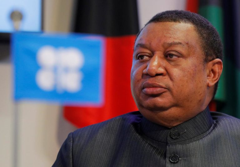Climate change: OPEC improving technology for cleaner oil production – Report