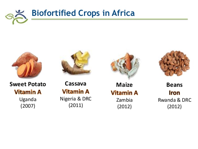 bio-fortified crop