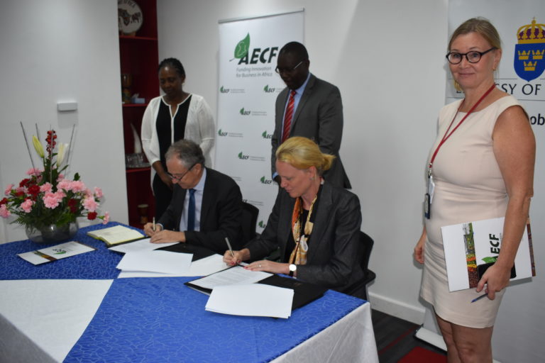 Companies to get $48m SIDA facility for off-grid clean power