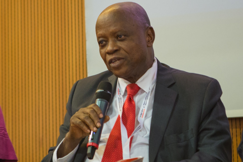 Prof. Oladele Osibanjo