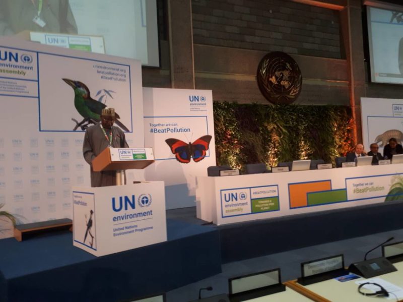 UNEA-3 Nigeria