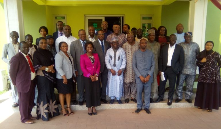 Climate change: Nigeria puts finishing touches to initial two-yearly report