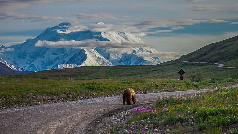 Alaska