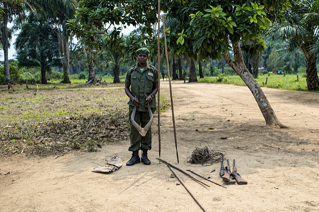 CIFOR