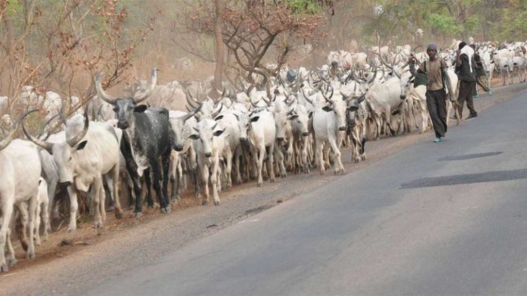 Cattle colonies: Robbing Peter to pay Paul