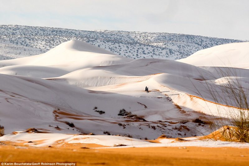 Sahara snow