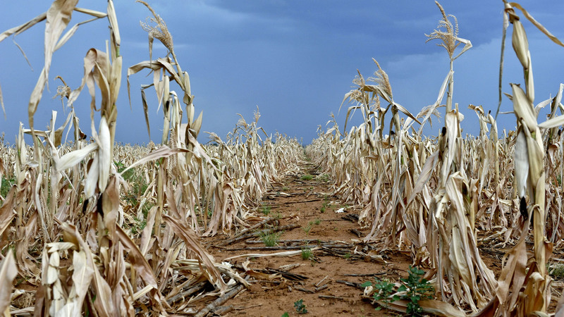 Drought