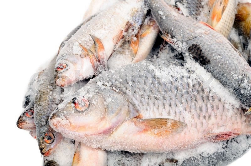 Frozen fish
