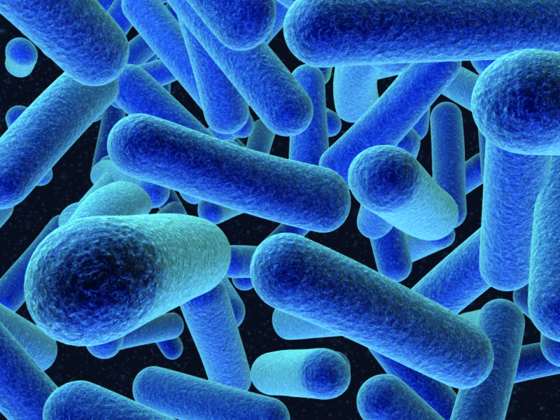 listeria