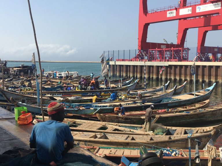 FishNet Alliance inaugurated in Togo