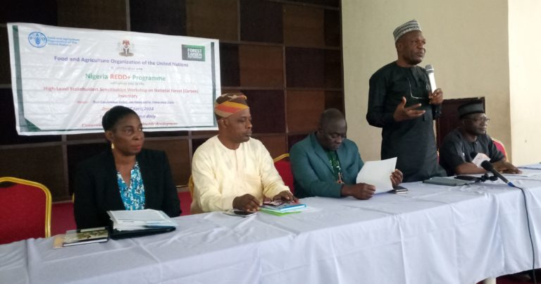 REDD+: Nigeria initiates moves to take inventory of forest emissions